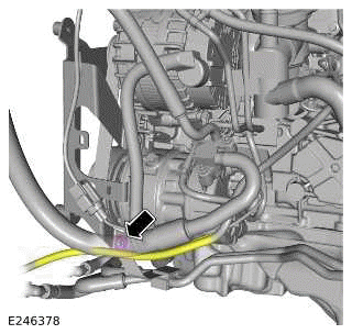 Drive Plate - Ingenium I4 2.0l Petrol